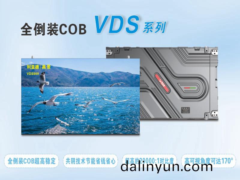 利亞悳(de) VDS009