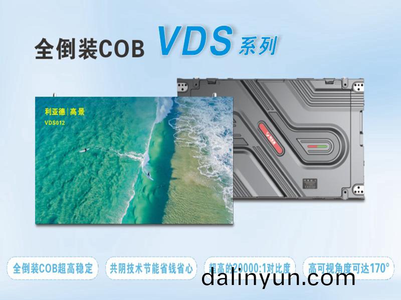  利(li)亞(ya)悳(de) VDS012