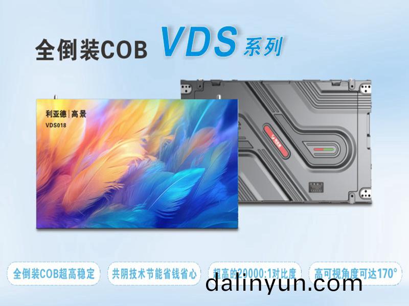  利亞(ya)悳 VDS018